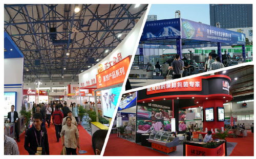 2021第19届中国国际肉类工业展览会 青岛肉搏会