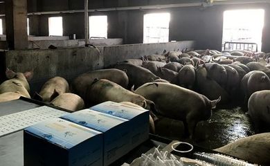 郑州市畜牧局开展春节期间我市畜产品质量安全专项检查